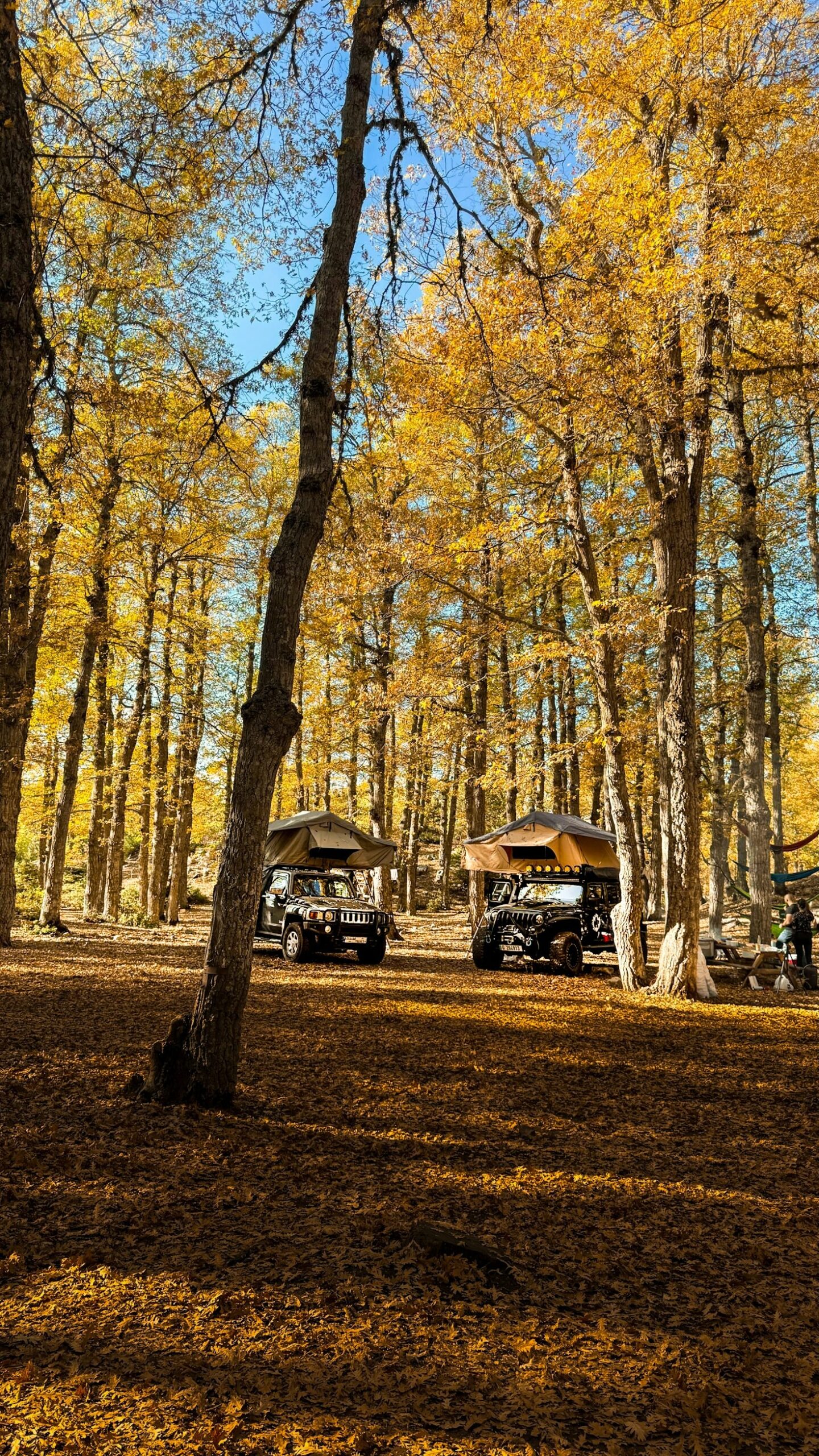 Erfahrungsbericht: Unsere erste Nacht im Dachzelt